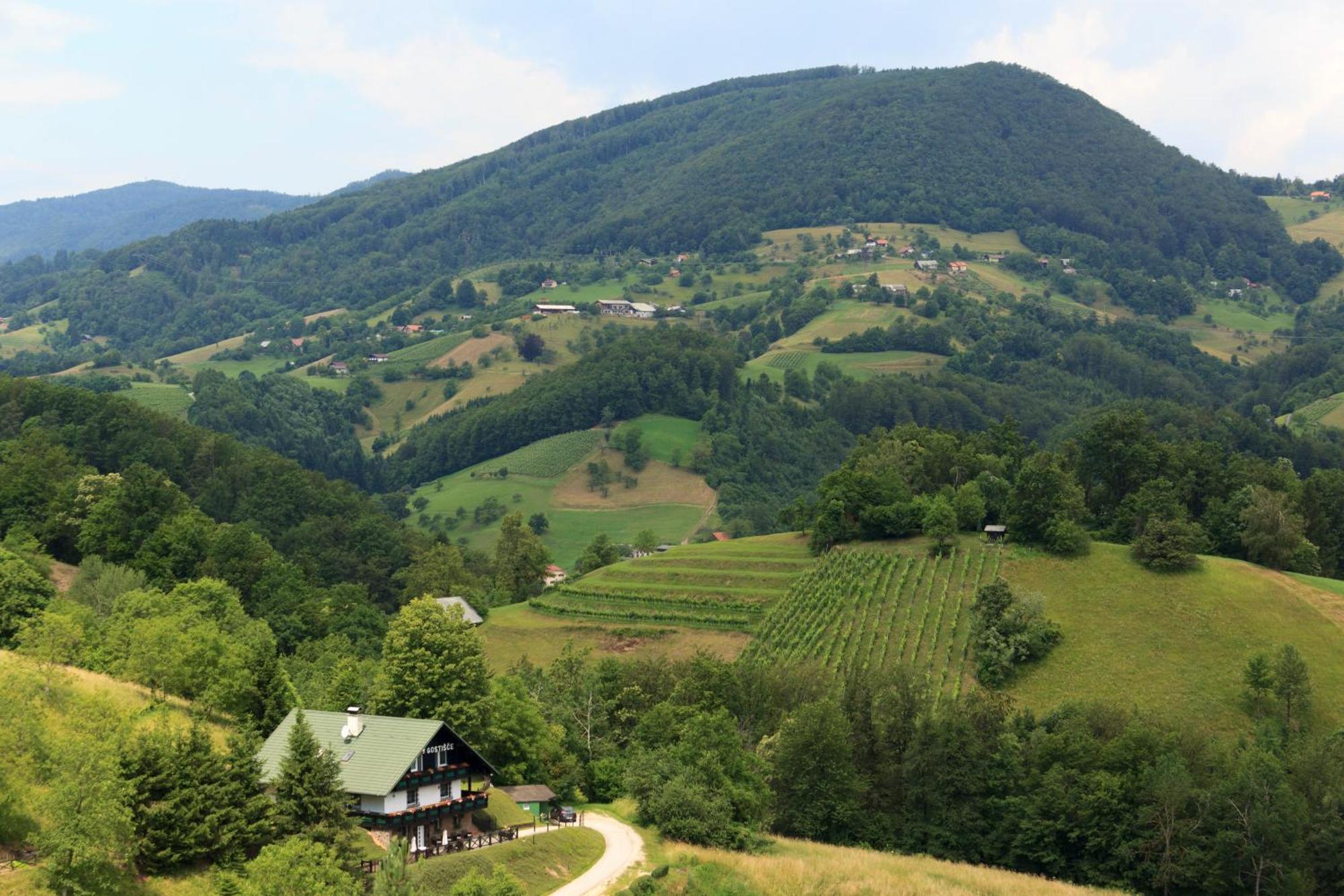 Pod Orehi Guest House Loče pri Poljčanah Exteriér fotografie