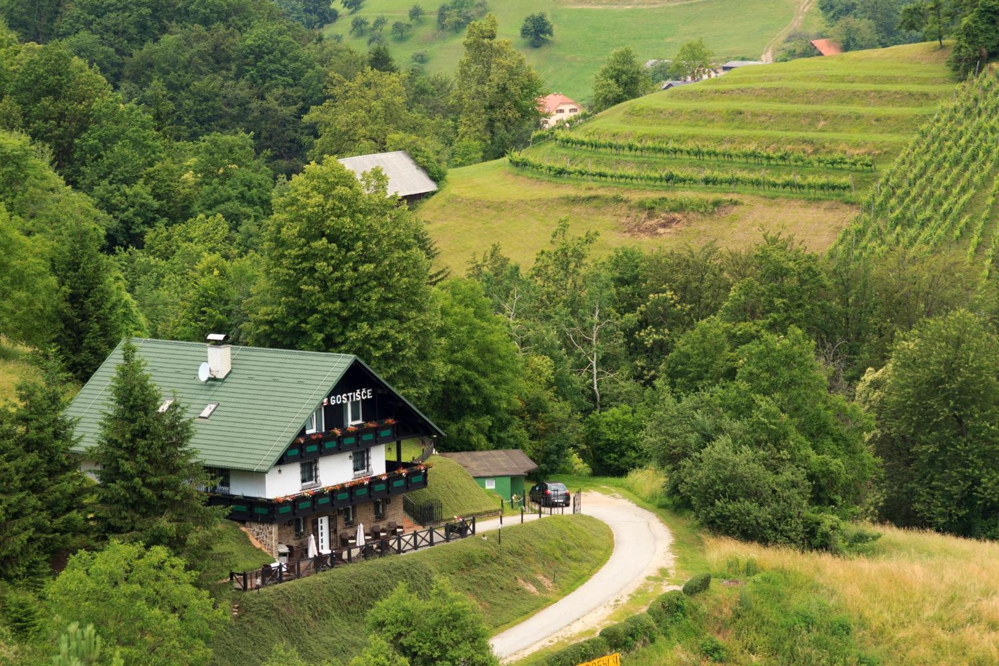 Pod Orehi Guest House Loče pri Poljčanah Exteriér fotografie